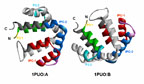 Epitopes of Fel d 1